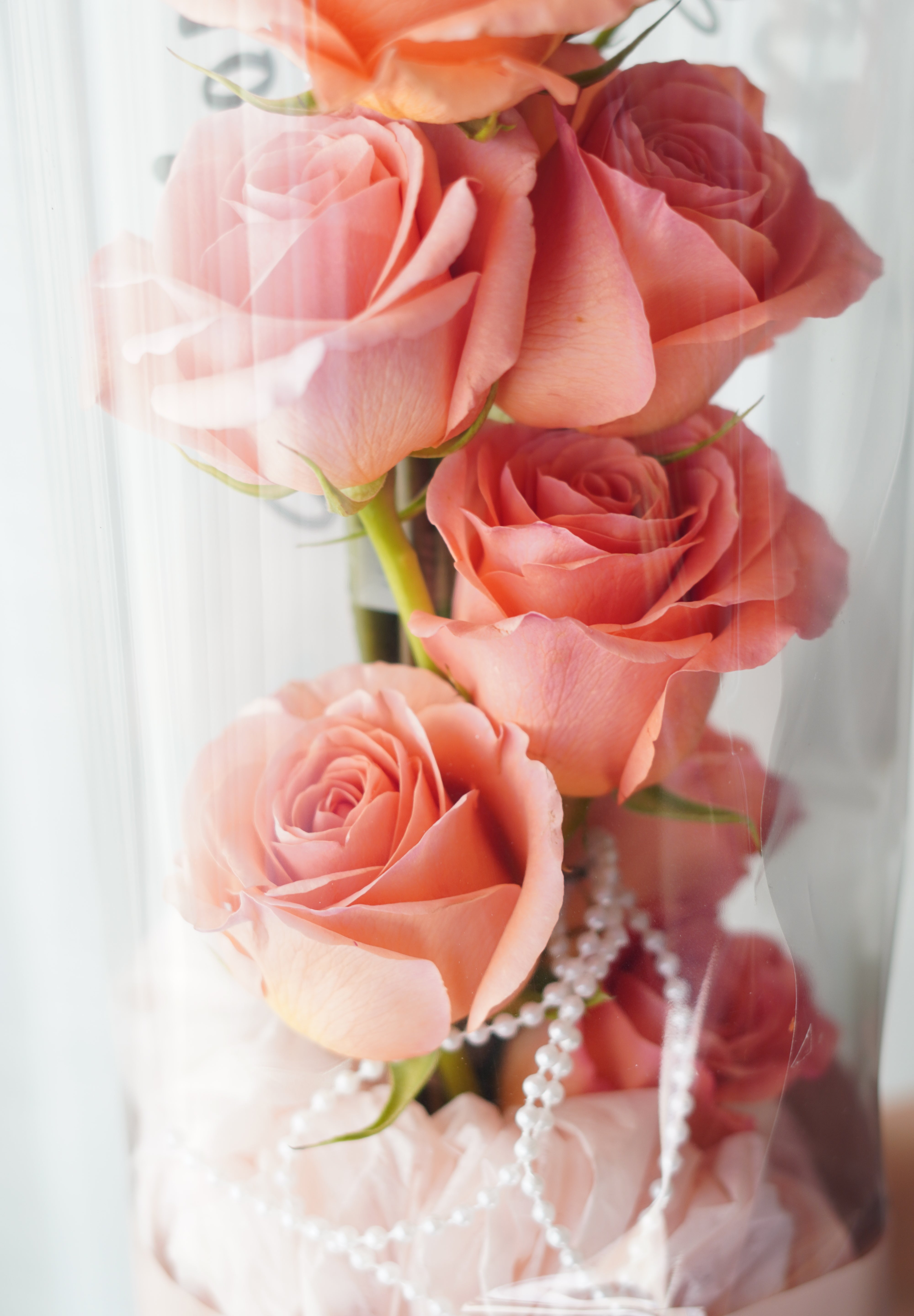tanghulu rose bouquet close-up with vertically arranged roses inside clear acrylic wrap with pearl detail