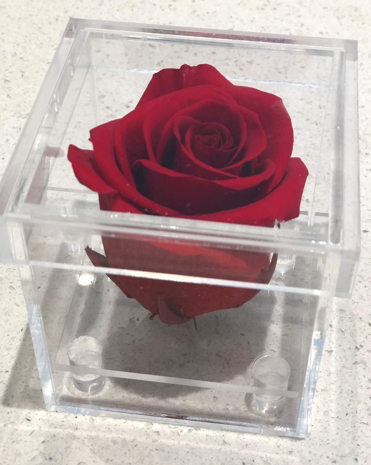 Single Preserved Rose Acrylic Box