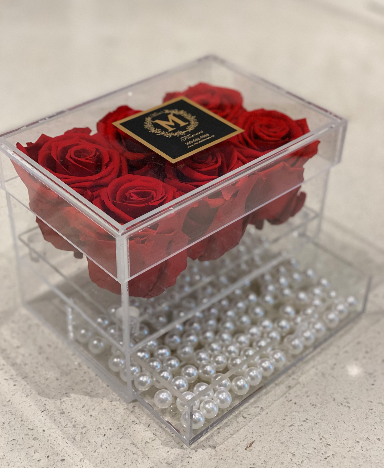 Preserved Rose in Acrylic Box-6 | Flower Delivery Toronto | Flower Shop ...