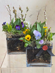 玻璃花瓶中的春季球根花卉