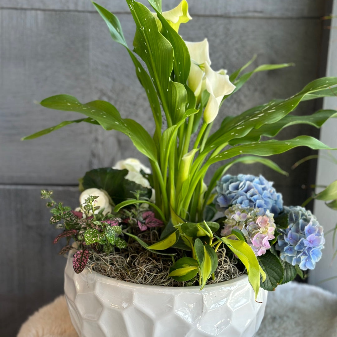 KakaoTalk_20230421_125814709.jpg