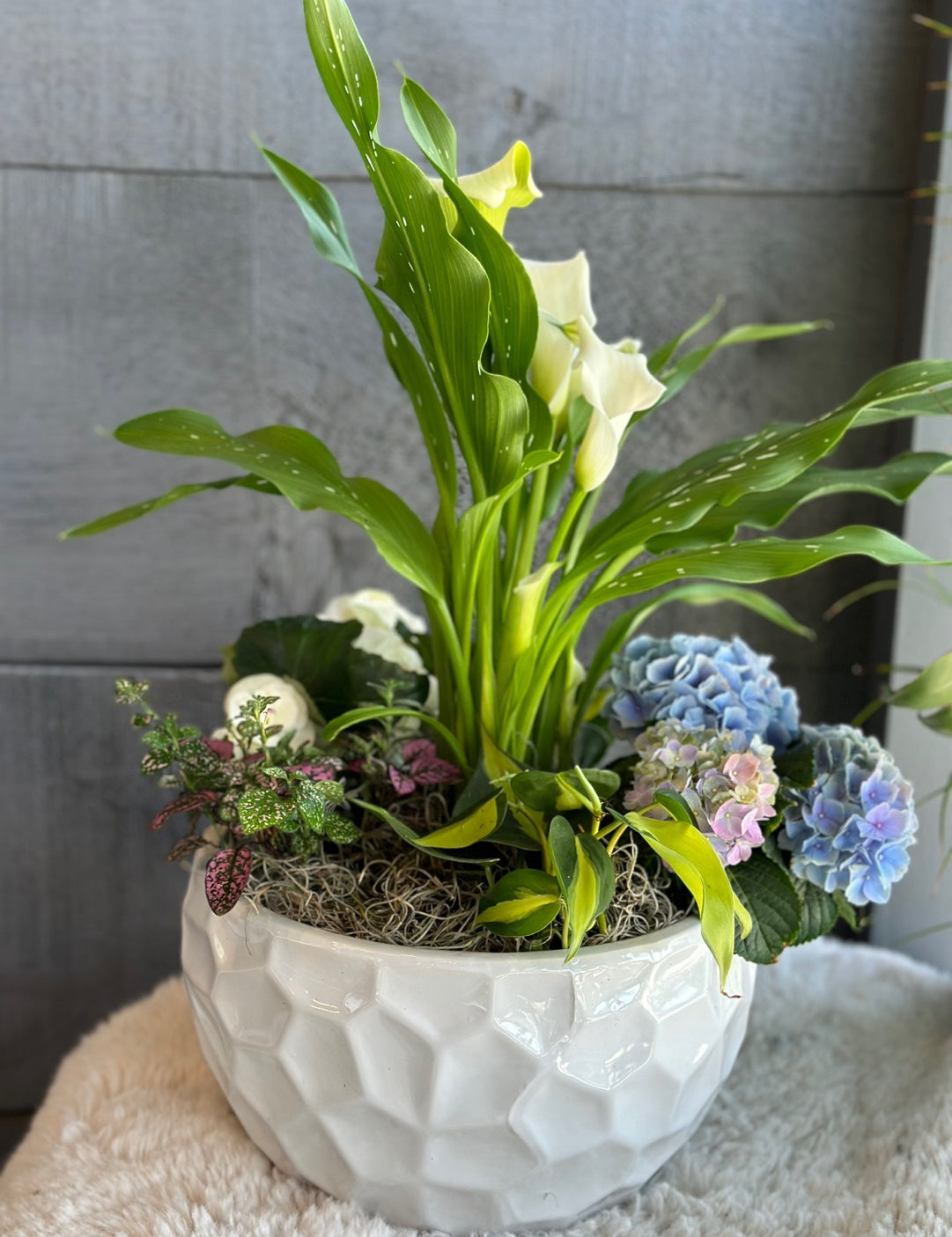 KakaoTalk_20230421_125814709.jpg