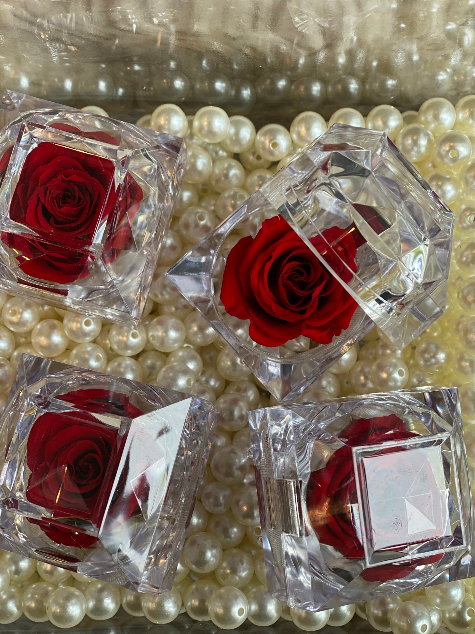Valentine's Day - Mini Preserved Rose