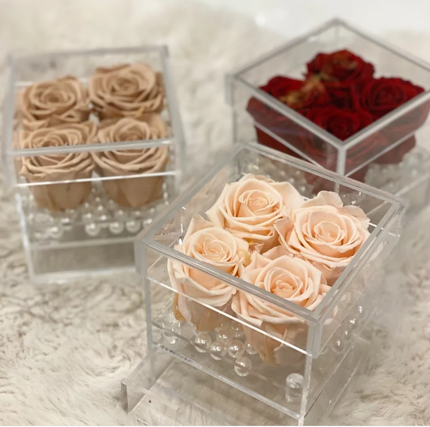 Preserved Rose in a Acrylic Box-4